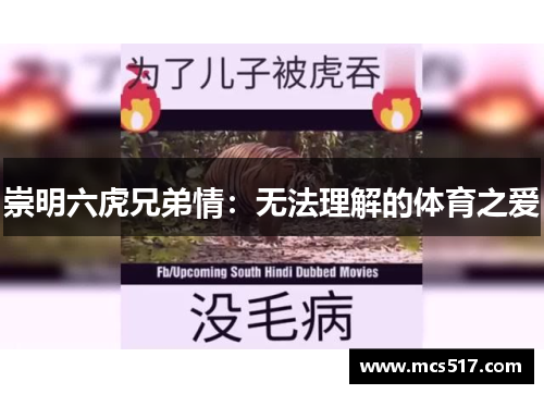 崇明六虎兄弟情：无法理解的体育之爱
